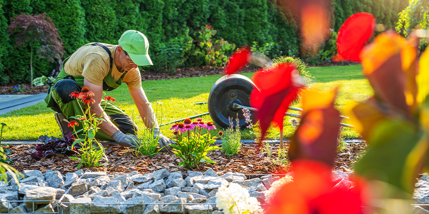 Garden/Landscaping Garden/Landscaping