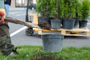 Garden/Landscaping